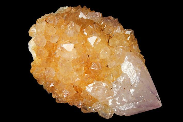 Sunshine Cactus Quartz Crystal - South Africa #122296